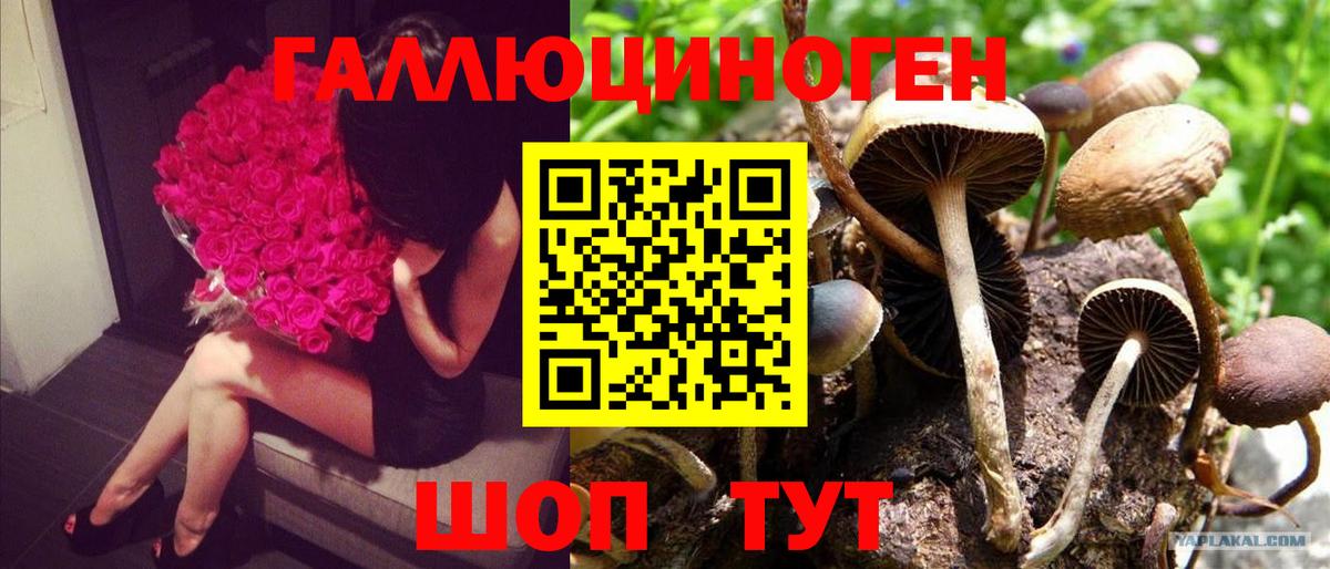 Крымск  Галлюциногенные грибы мухоморы  Галлюциногенные грибы Magic Shrooms  Вход с VPN 