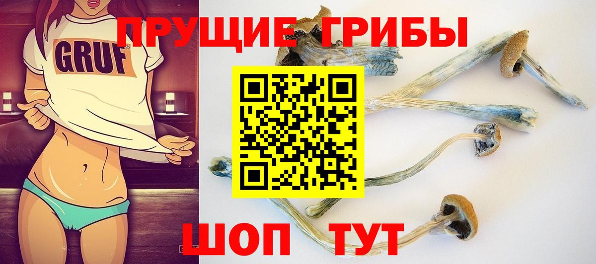 Галлюциногенные грибы мицелий Крымск